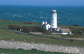 Portland Bird Observatory